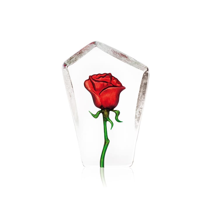 Floral Fantasy ruusu lasiveistos - Punainen - Målerås glasbruk