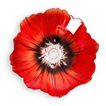Poppy kulho keskikoko - Punainen-musta - Målerås Glasbruk