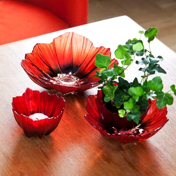 Poppy kulho keskikoko - Punainen-musta - Målerås glasbruk