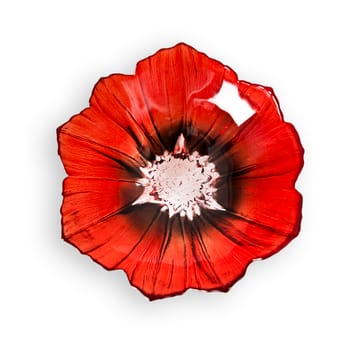 Poppy kulho pieni - Punainen-musta - Målerås glasbruk