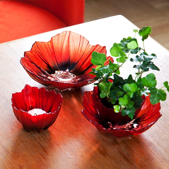 Poppy kynttilälyhty - Punainen-musta - Målerås glasbruk