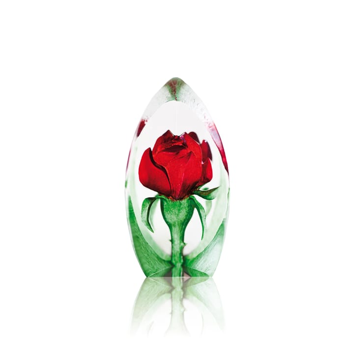 Ruusu lasiveistos - punainen - Målerås Glasbruk