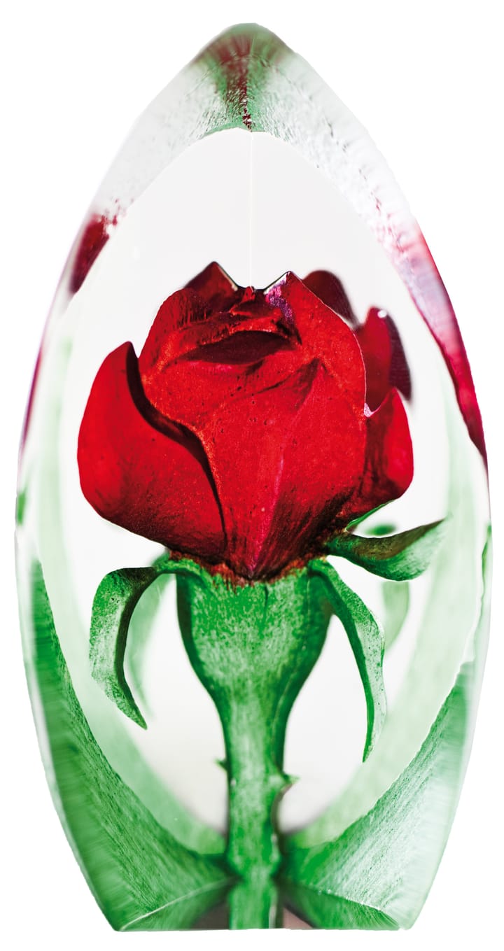 Ruusu lasiveistos - punainen - Målerås Glasbruk