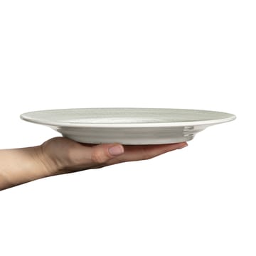 Basic lautanen 25 cm - Harmaa - Mateus