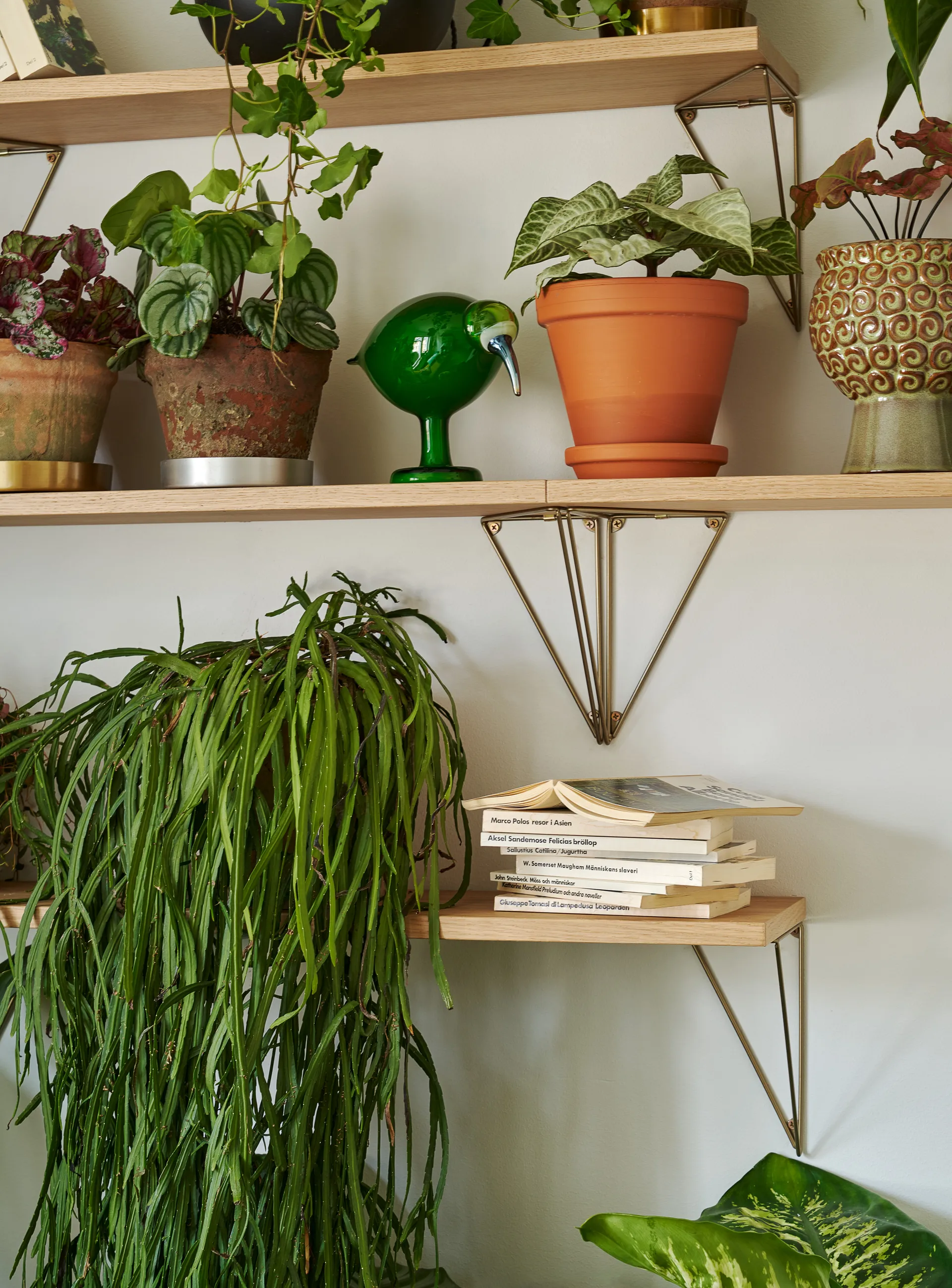 Pythagoras hyllytaso, tammi Maze