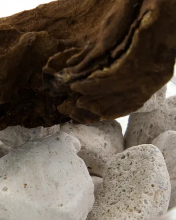 Meraki tuoksunlevitin laavakivi ja puu - Valkoinen - Meraki