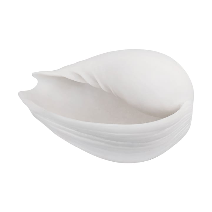 Conch koriste simpukka, Small Mette Ditmer