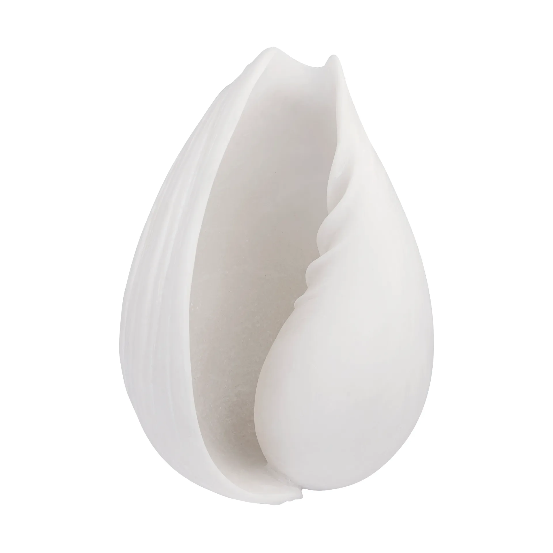 Conch koriste simpukka, Small Mette Ditmer