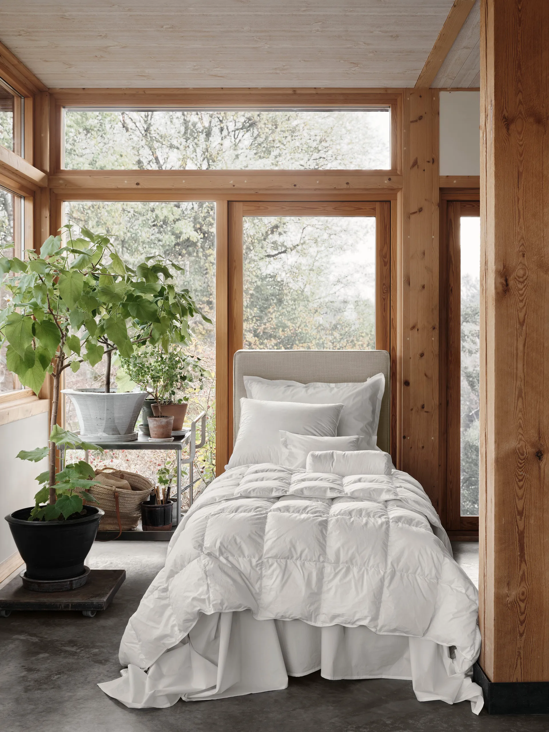 Natura Untuvapeitto, Valkoinen, 220 x 220 cm, Medium Mille Notti