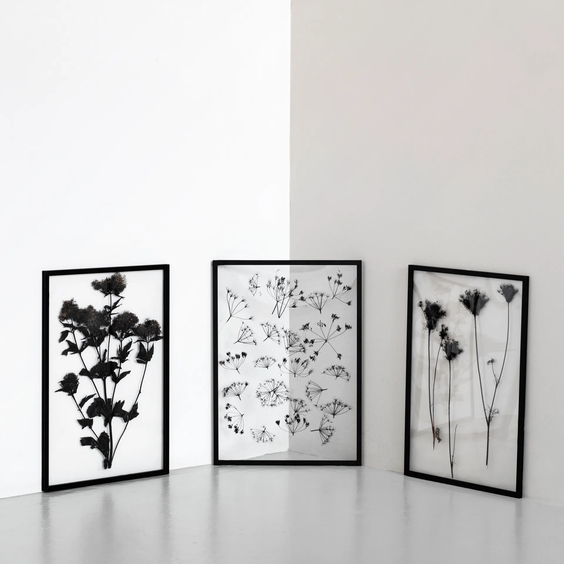 Moebe Frame A2, Musta MOEBE