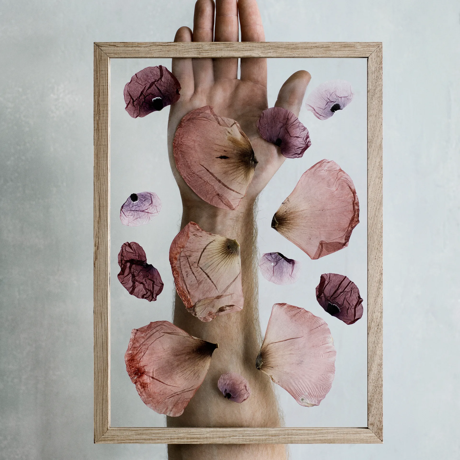 Moebe Frame A4 23x31,7 cm, Tammi MOEBE