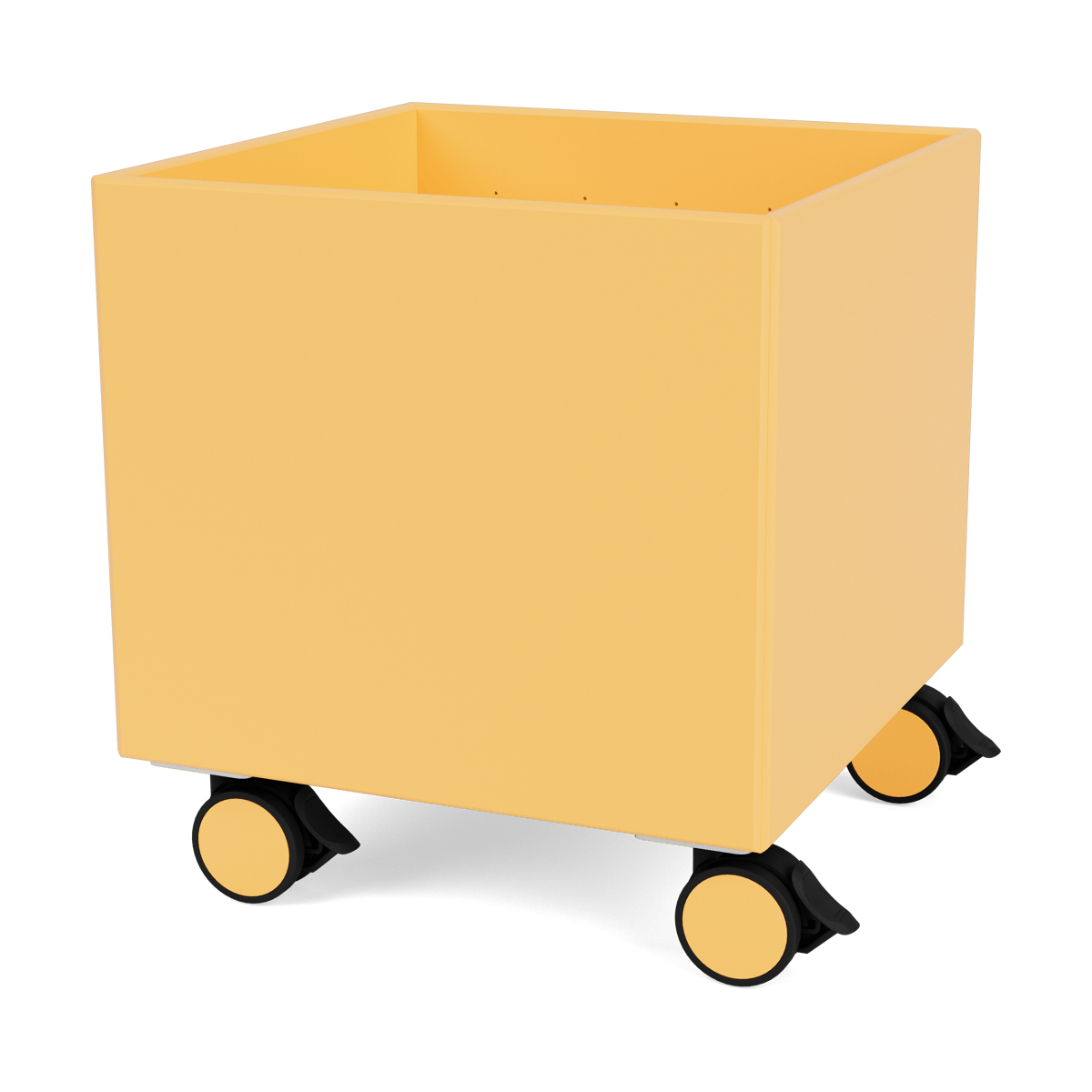 Montana Colour Box I – S6161 Acacia