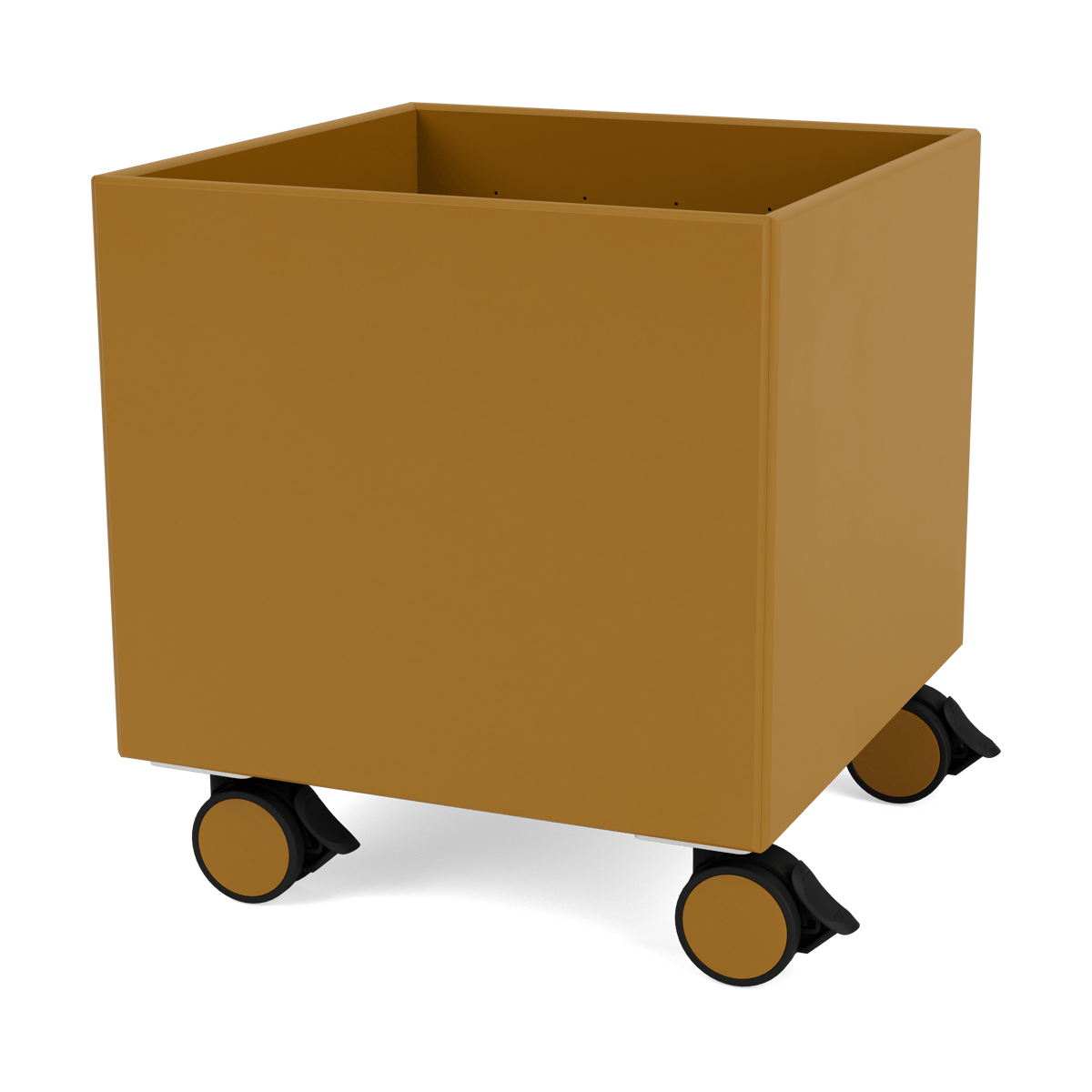 Montana Colour Box I – S6161 Amber