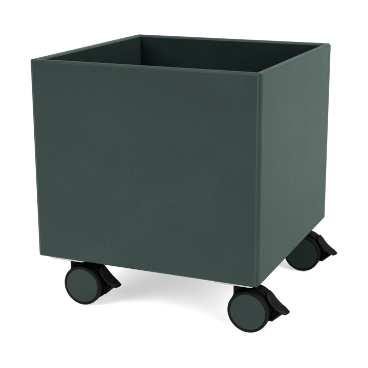 Colour Box I – S6161 - BlackJade - Montana