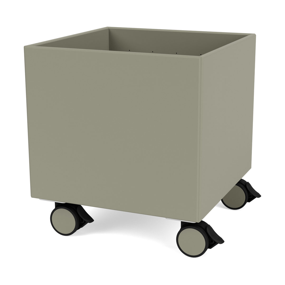 Montana Colour Box I – S6161 Fennel