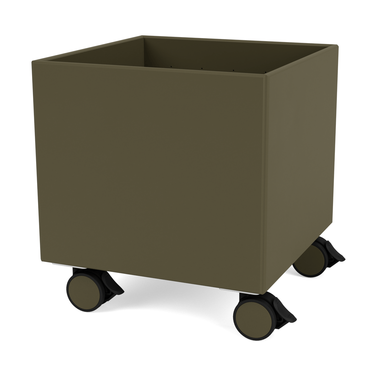 Montana Colour Box I – S6161 Oregano