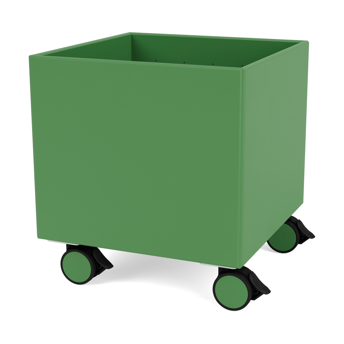 Montana Colour Box I – S6161 Parsley