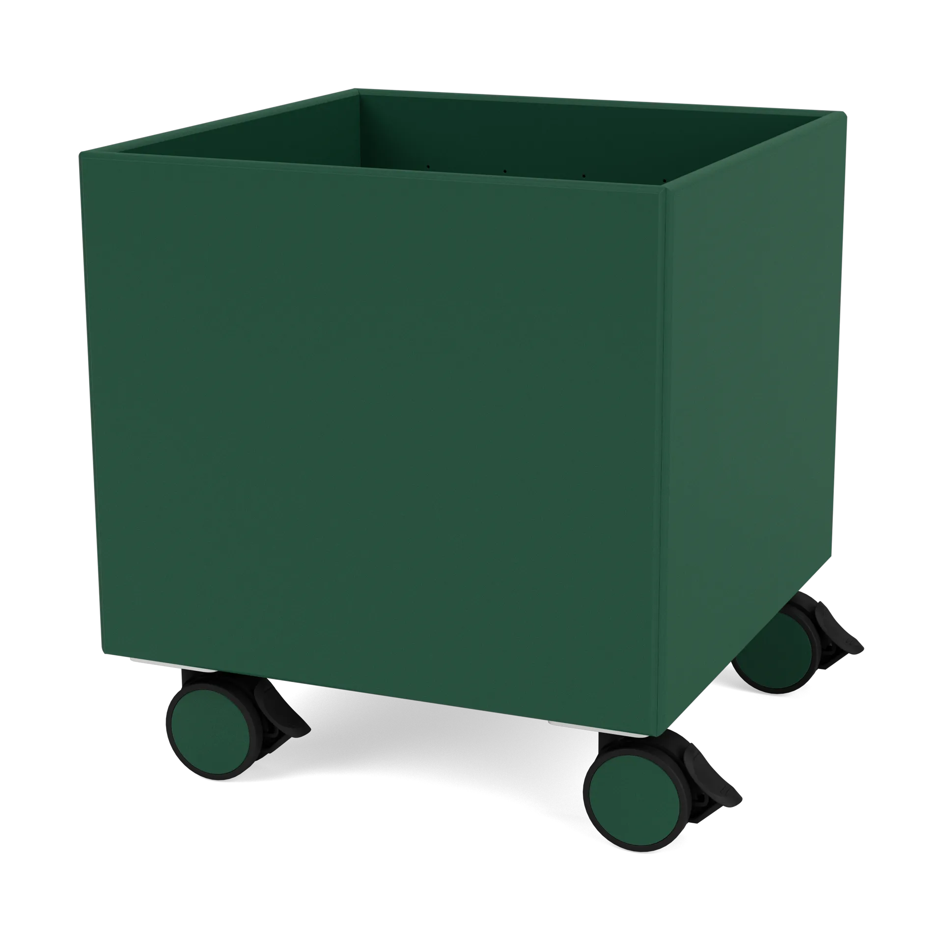 Colour Box I – S6161, Pine Montana