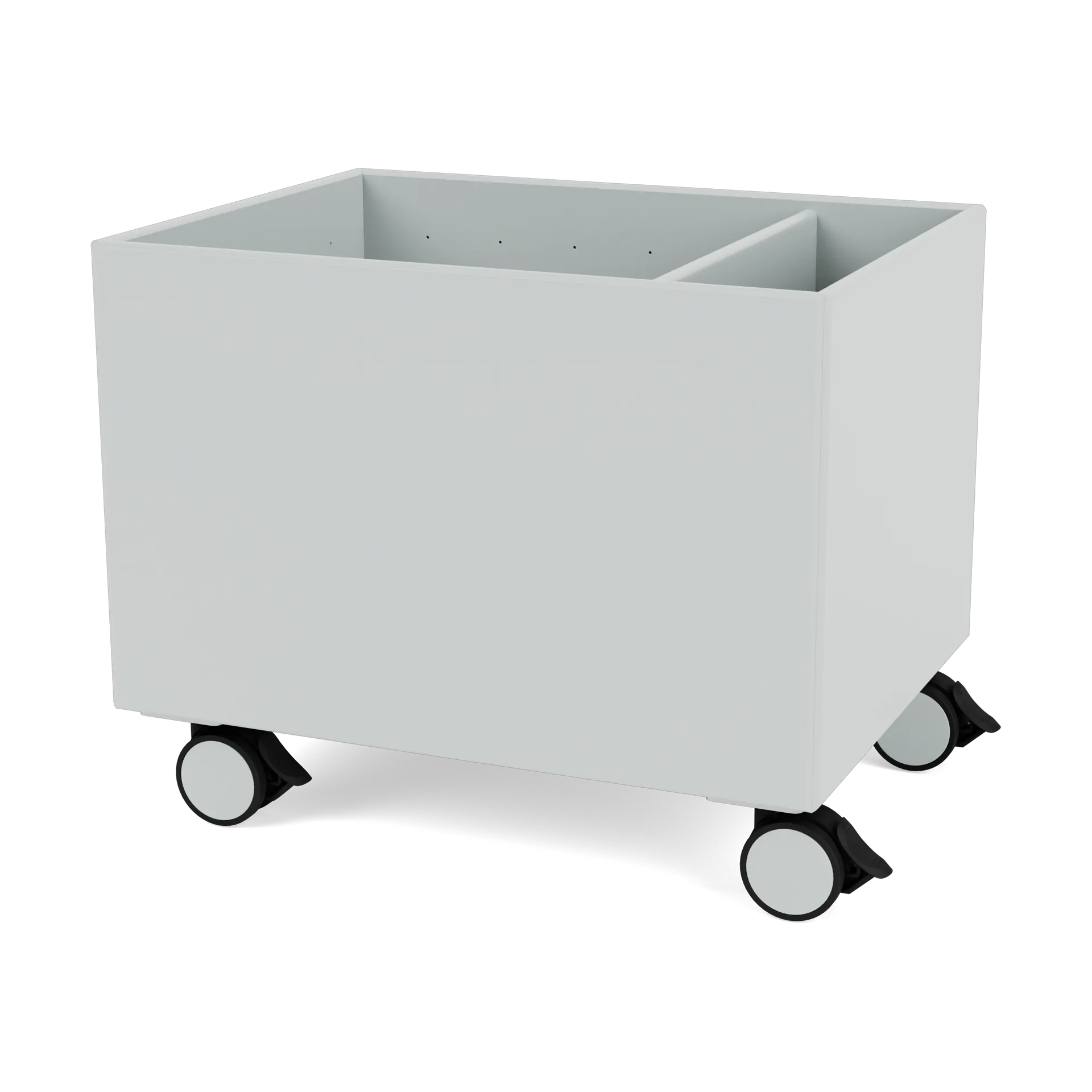 Colour Box II, Oyster Montana