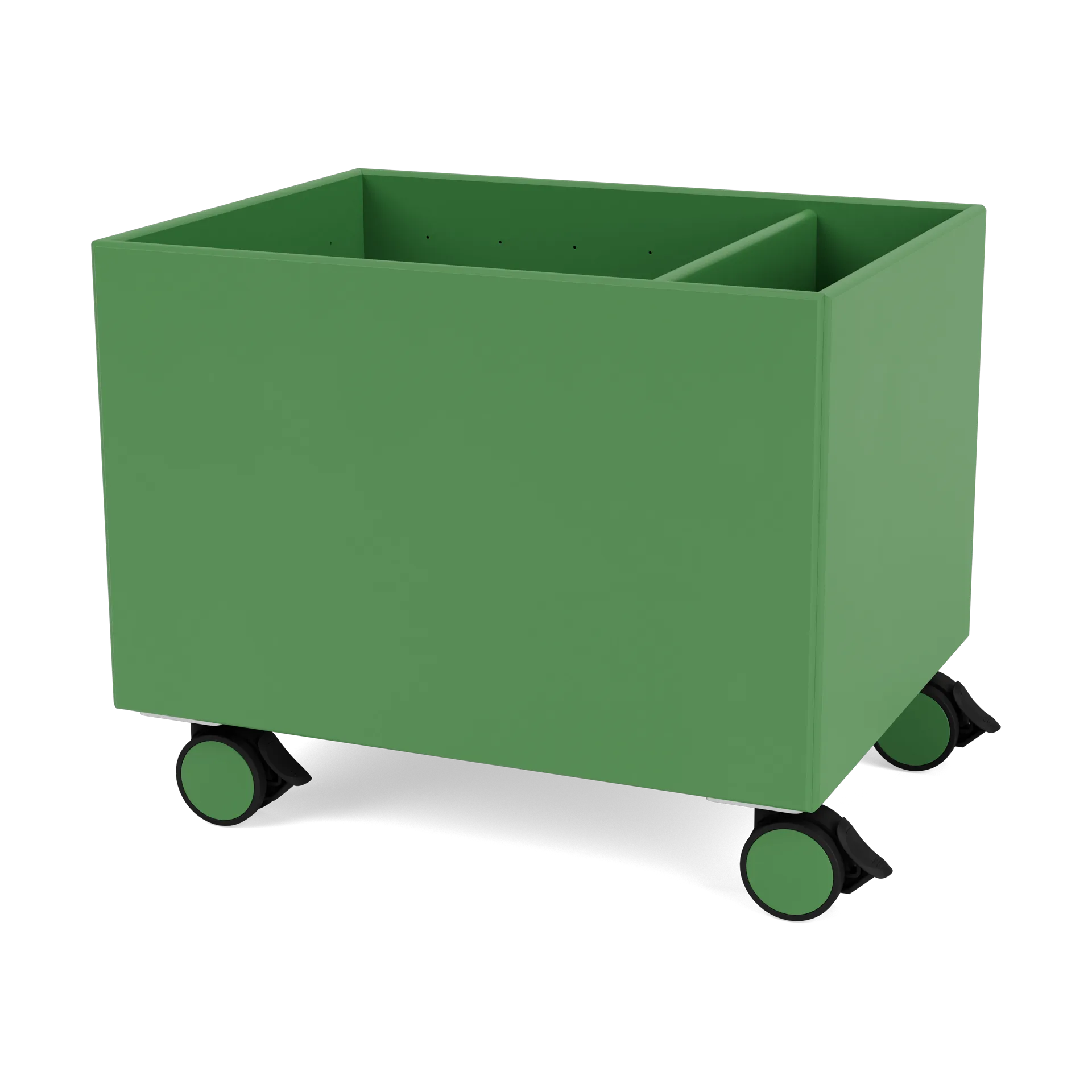 Colour Box II, Parsley Montana