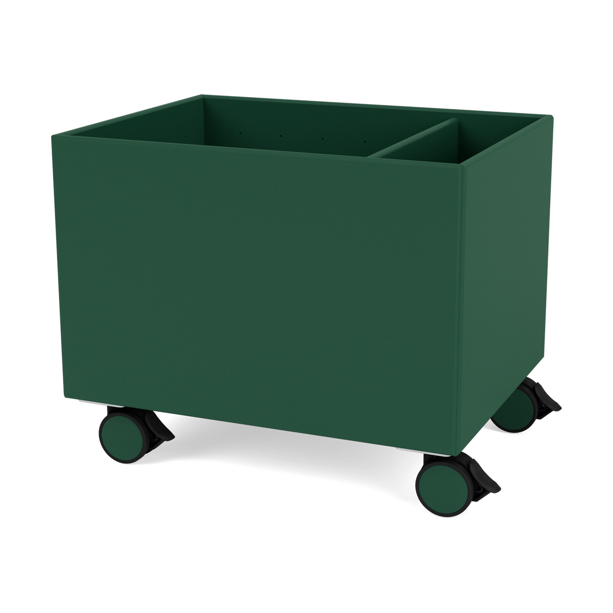 Montana Colour Box II Pine | Skandinaavinen Sisustus | Säilytyskorit | Vihreä