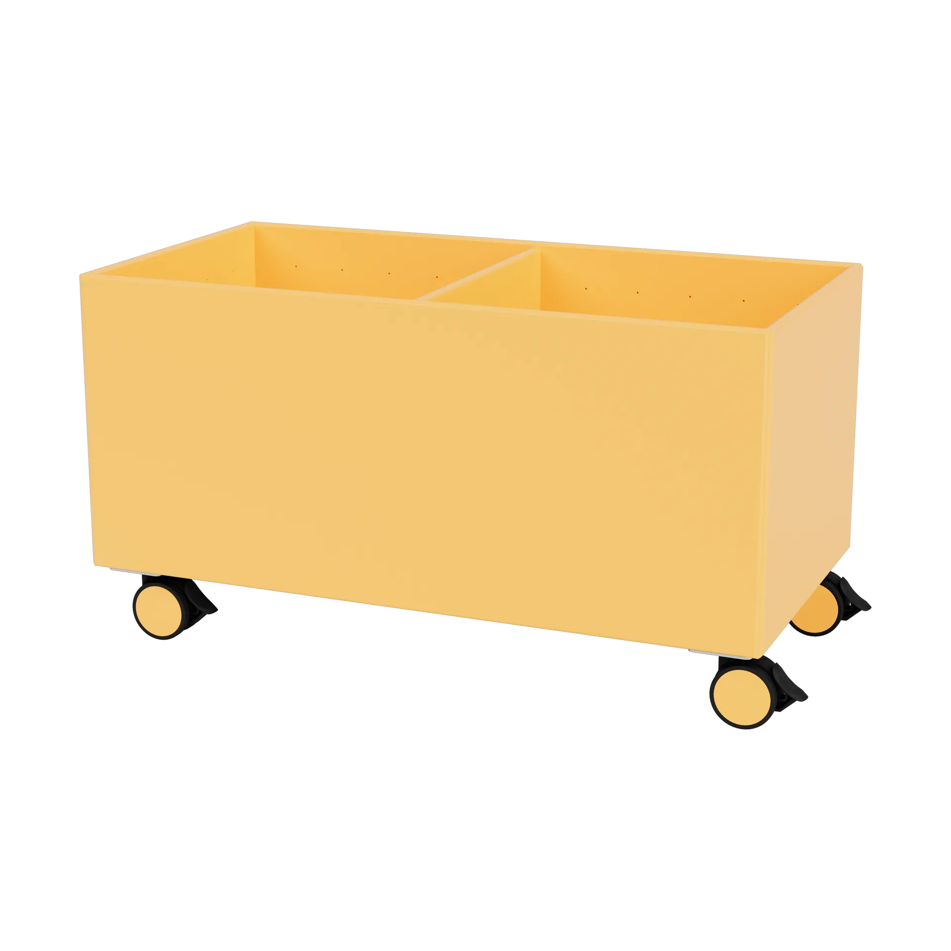 Colour Box III, Acacia Montana