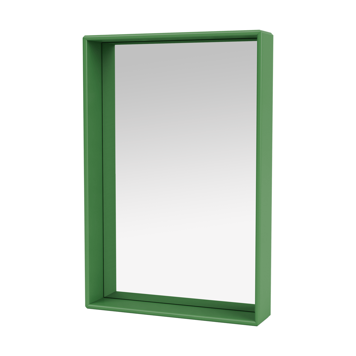 Montana Shelfie colour frame peili 46,8×69,6 cm Parsley