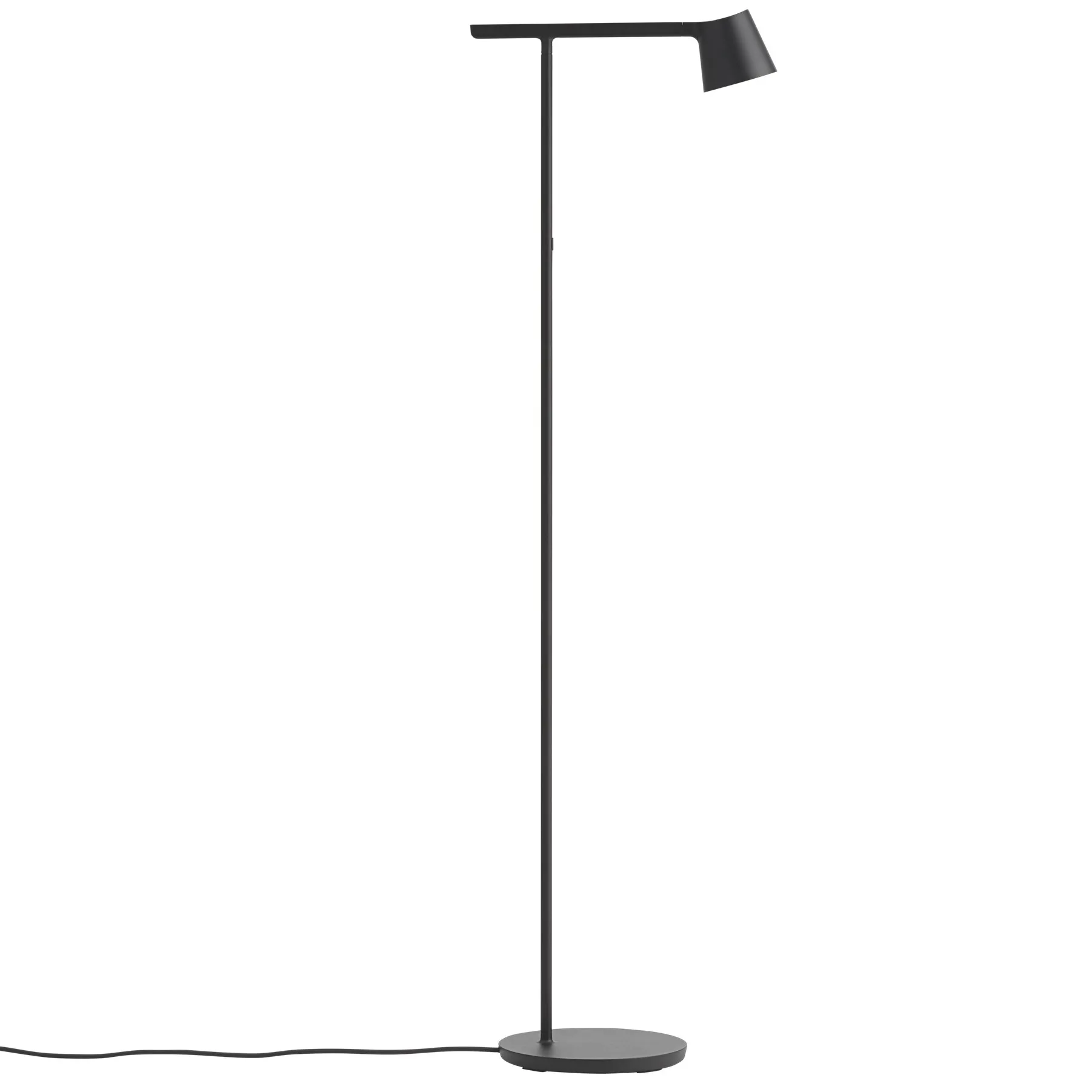 Tip lattiavalaisin, Black Muuto