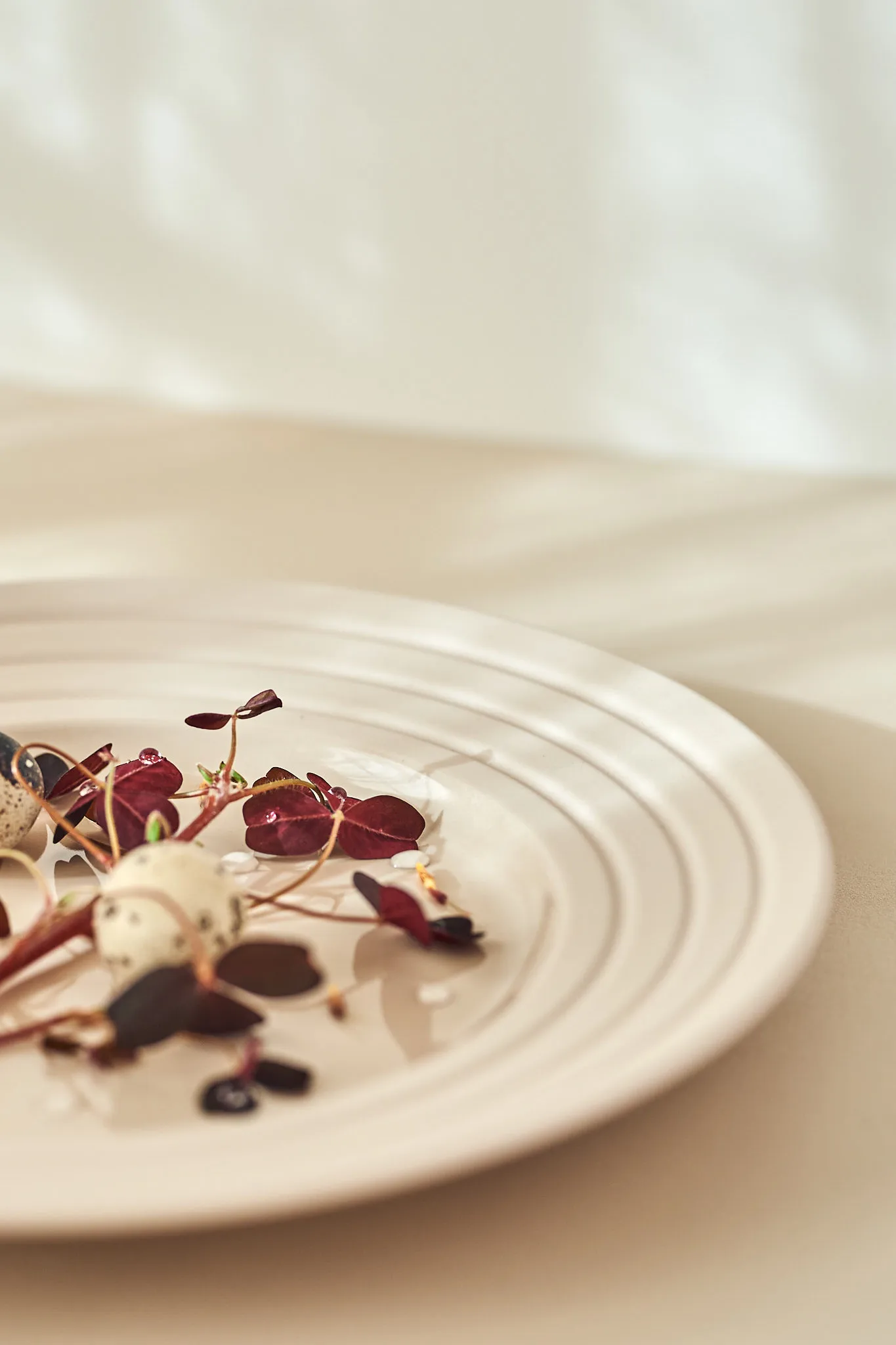 Lines-lautanen Ø 27 cm, beige NJRD