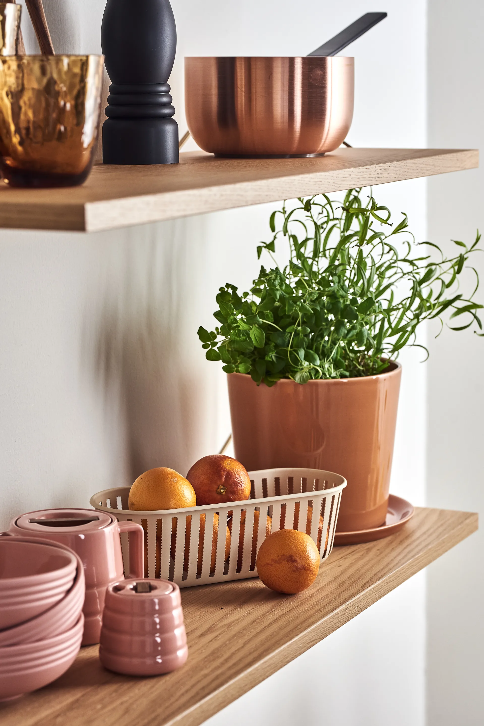 Lines-sokerikko, vaaleanpunainen NJRD