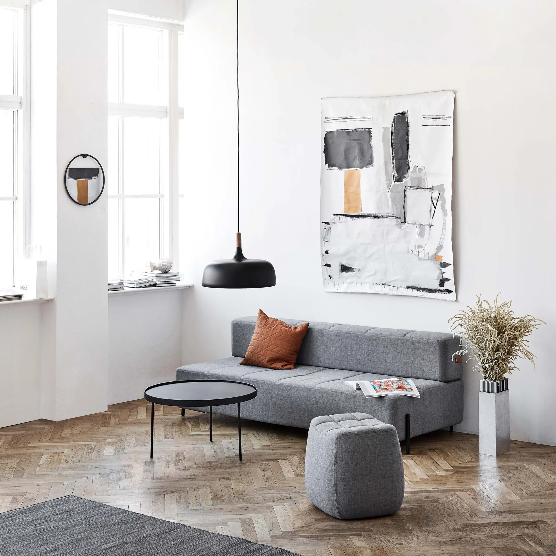 Acorn kattovalaisin, musta Northern