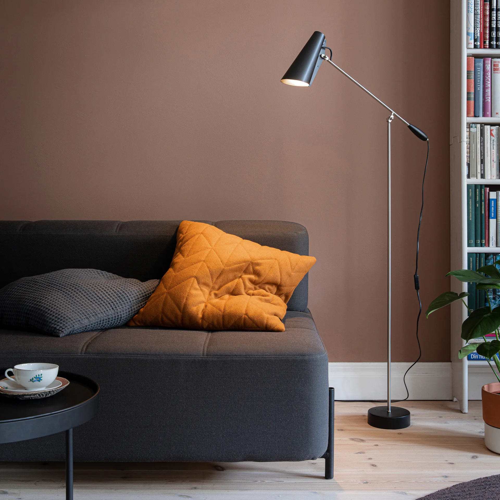 Birdy lattiavalaisin, Black-steel Northern