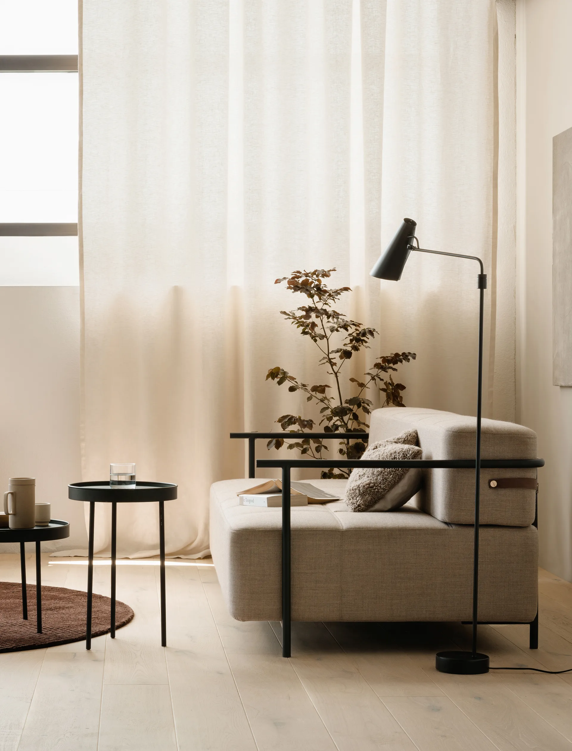 Birdy swing -lattiavalaisin, Musta-musta Northern