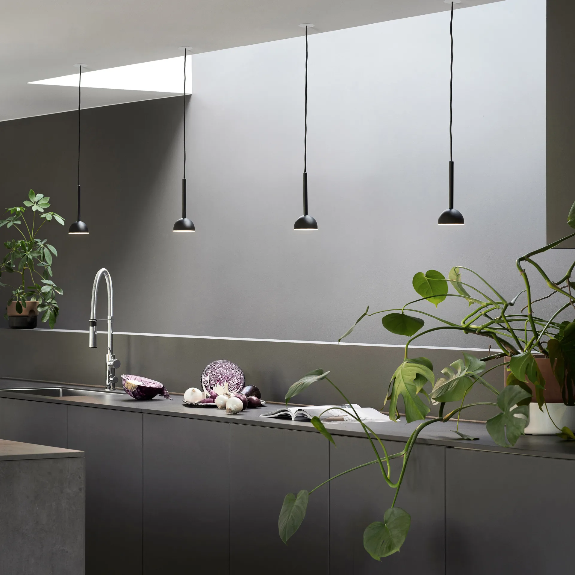 Blush kattolamppu, Musta Northern