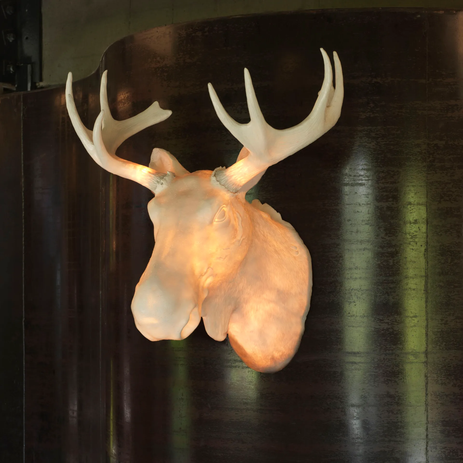 Moo seinävalaisin, Valkoinen Northern