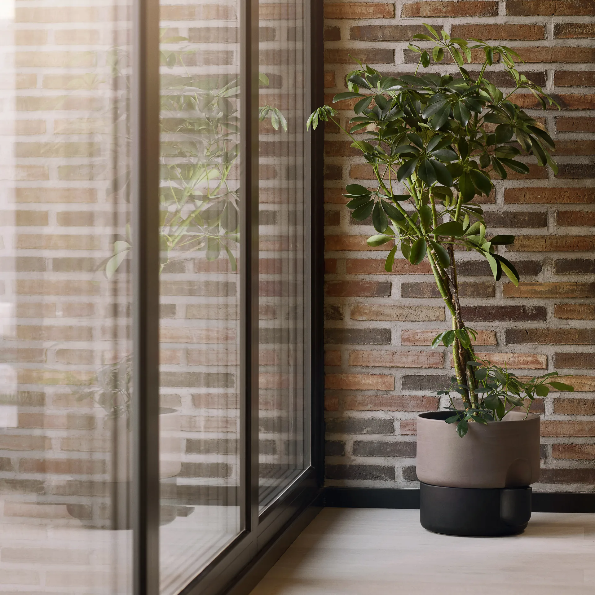 Oasis itsekasteleva ruukku, suuri Ø27.5 cm, Tummanruskea Northern