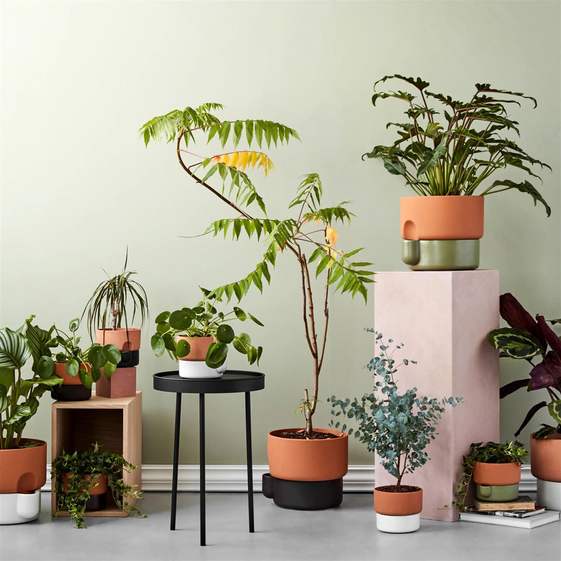 Oasis itsekasteleva ruukku, suuri Ø27.5 cm, Tummanruskea Northern