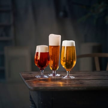 Beer taster -olutlasi 4 kpl - 4 kpl - Orrefors
