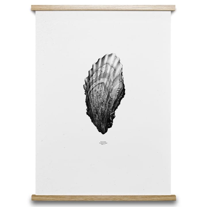 1:1 Oyster juliste - 50x70 cm - Paper Collective