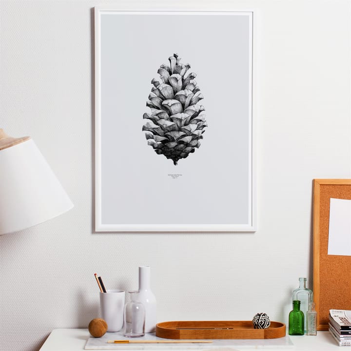 1:1 Pine Cone juliste - harmaa, 50x70 cm - Paper Collective