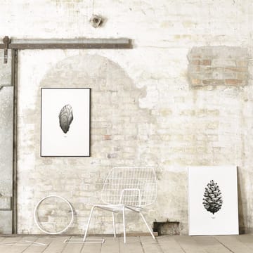 1:1 Pine Cone juliste - valkoinen, 50x70 cm - Paper Collective