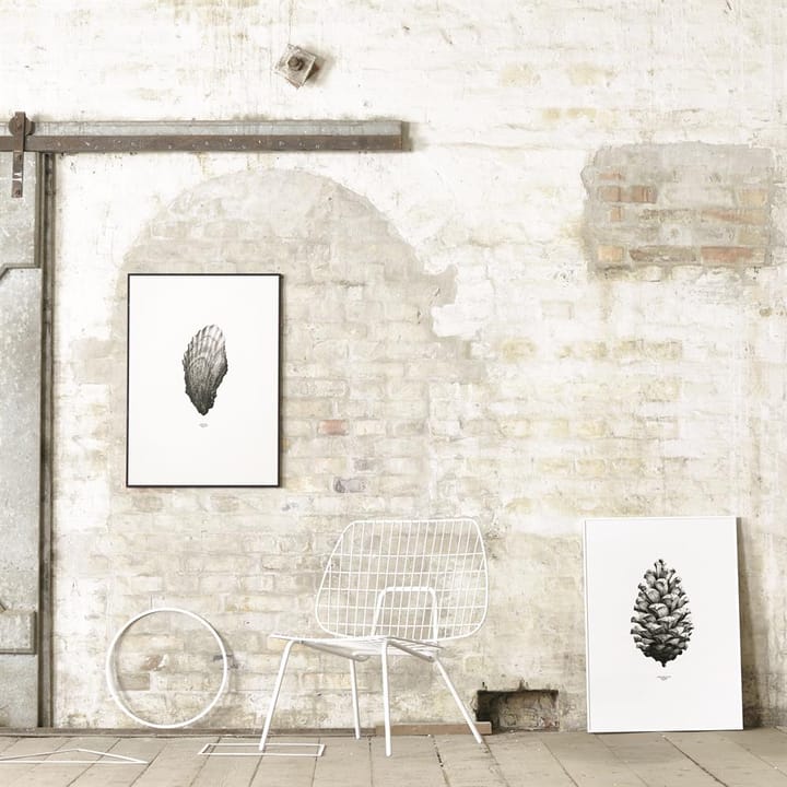 1:1 Pine Cone juliste - valkoinen, 50x70 cm - Paper Collective