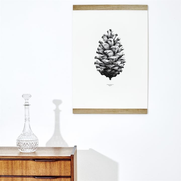 1:1 Pine Cone juliste - valkoinen, 50x70 cm - Paper Collective