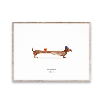 Doug the Dachshund -juliste - 30 x 40 cm - Paper Collective