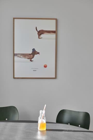 Doug the Dachshund -juliste - 50 x 70 cm - Paper Collective