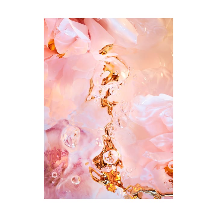 Flora Aquatica 02 juliste - 70x100 cm - Paper Collective
