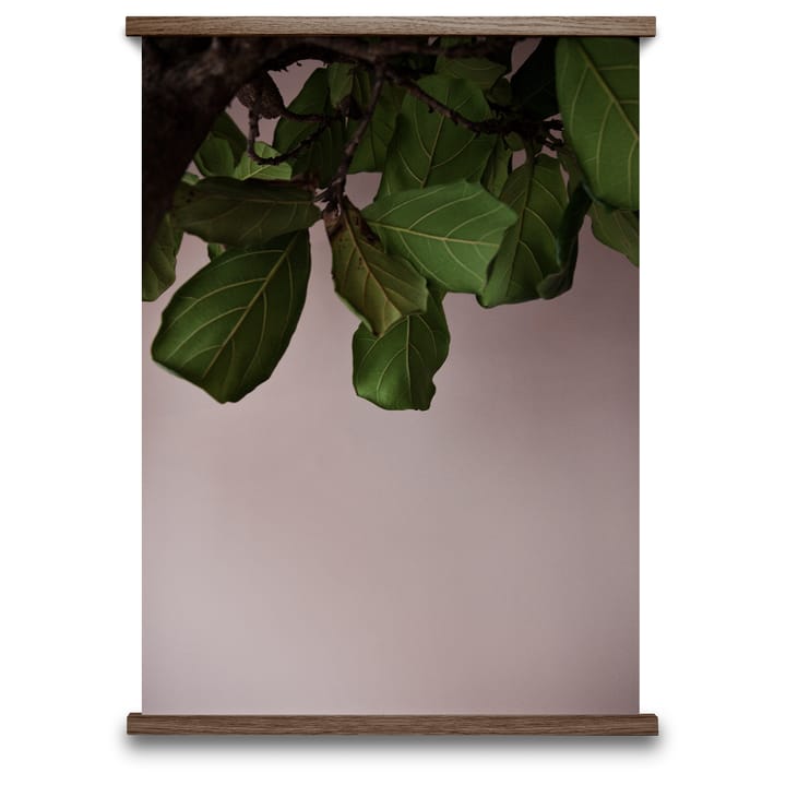 Green Leaves juliste - 50x70 cm - Paper Collective