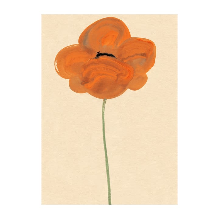 Orange Unikko -juliste - 50 x 70 cm - Paper Collective