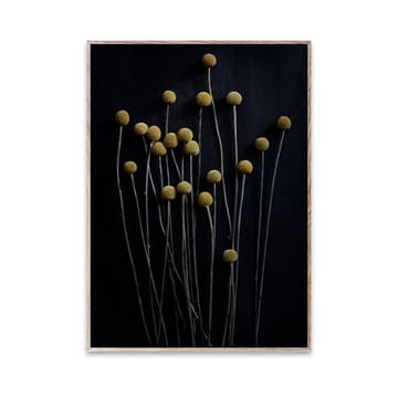 Still Life 01 Yellow Drumsticks juliste - 30x40 cm - Paper Collective