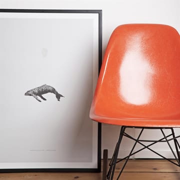 Whale Reprise juliste - 50x70 cm - Paper Collective